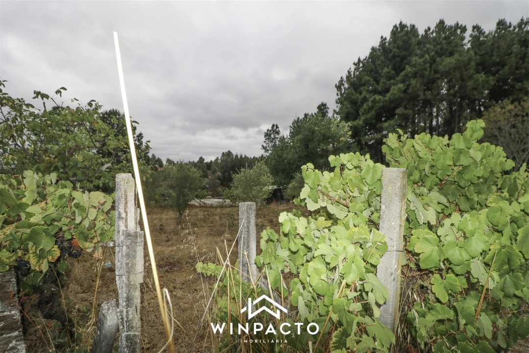 Quinta T0 para Venda em Paranhos Foto 18