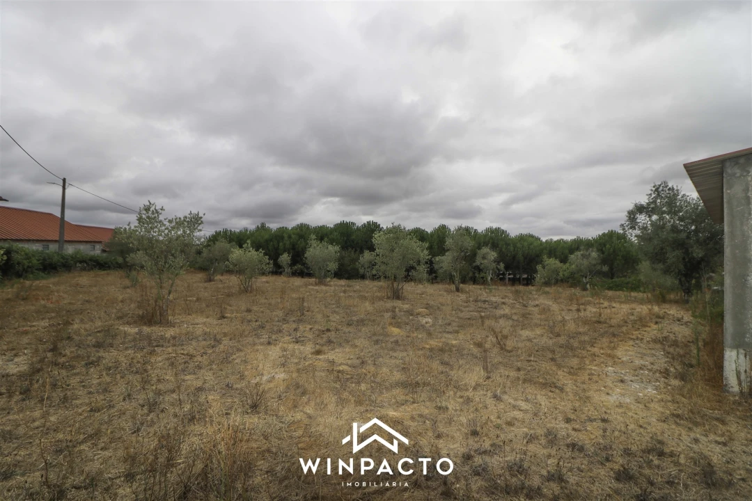 Quinta T0 para Venda em Paranhos Foto 11