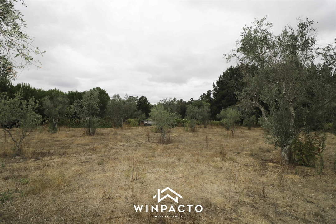 Quinta T0 para Venda em Paranhos Foto 15