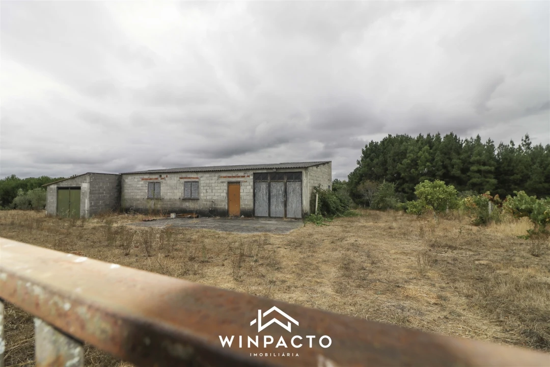 Quinta T0 para Venda em Paranhos Foto 1