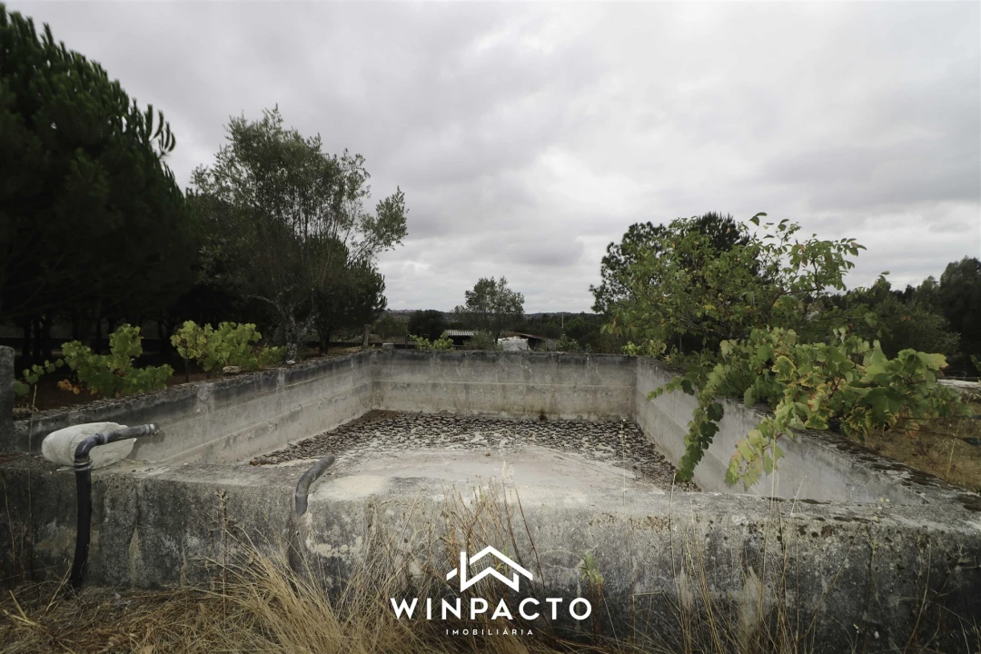 Quinta T0 para Venda em Paranhos Foto 16