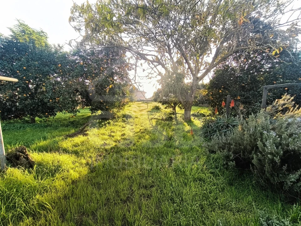 Moradia T6 para Venda em Marinhais Foto 44