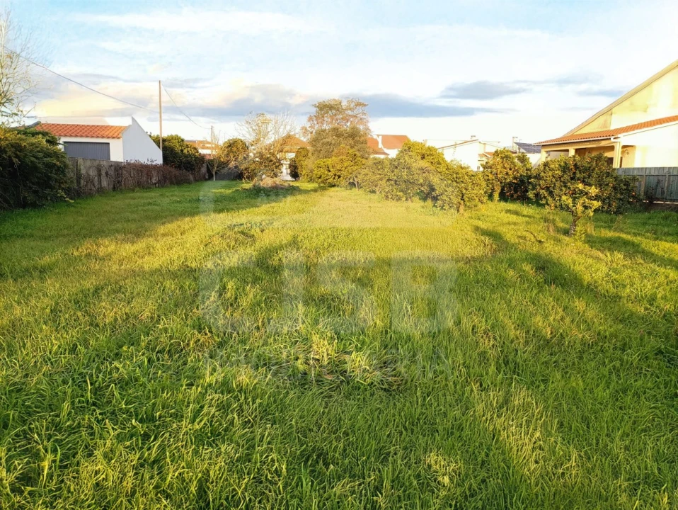 Moradia T6 para Venda em Marinhais Foto 45