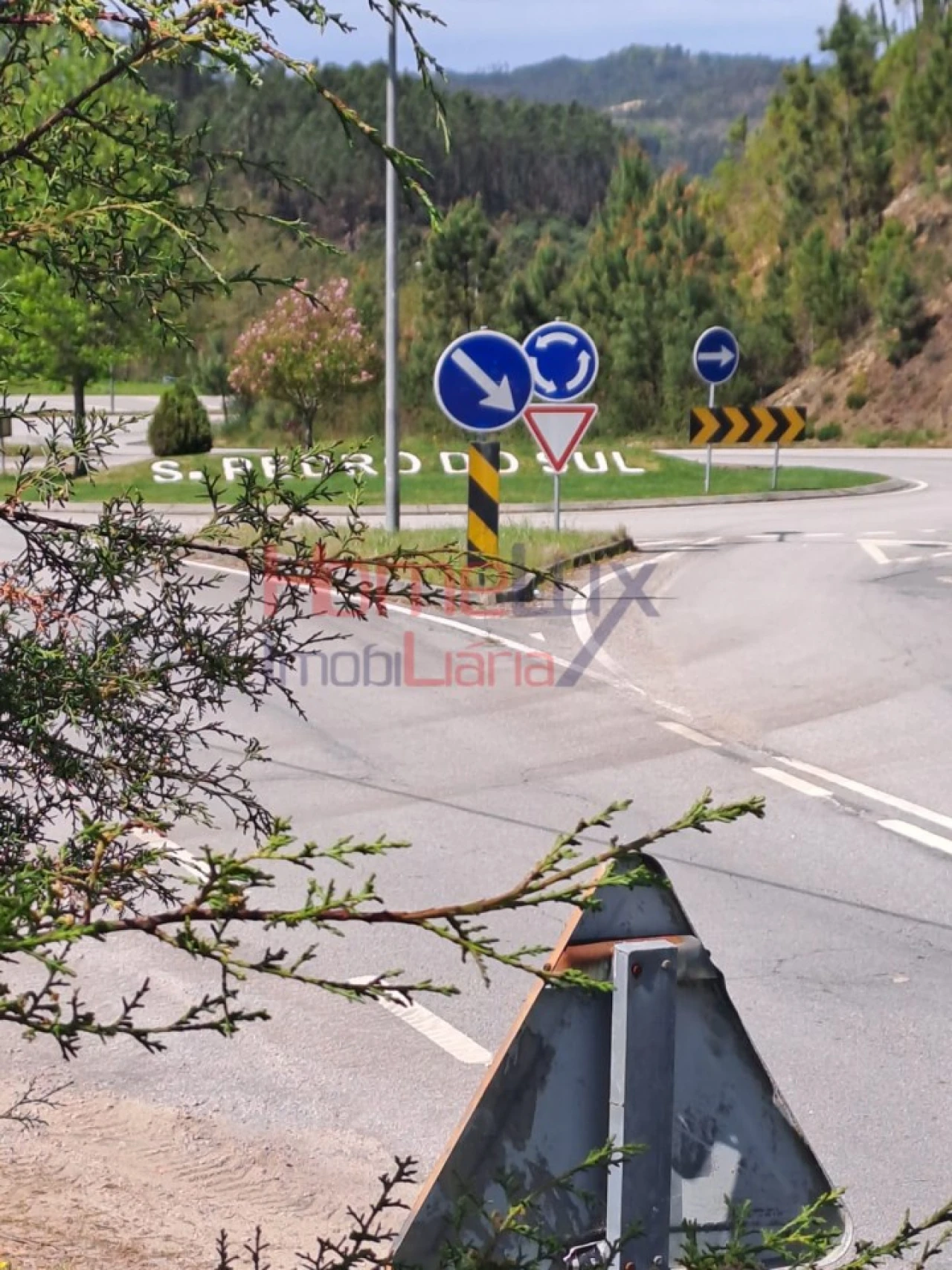 Terreno Agricola ou Rústico para Venda em São Pedro do Sul, Várzea e Baiões Foto 3