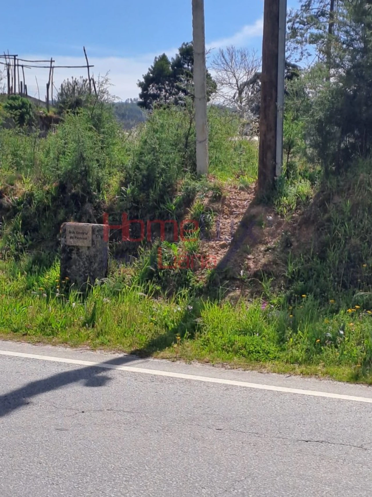 Terreno Agricola ou Rústico para Venda em São Pedro do Sul, Várzea e Baiões Foto 11