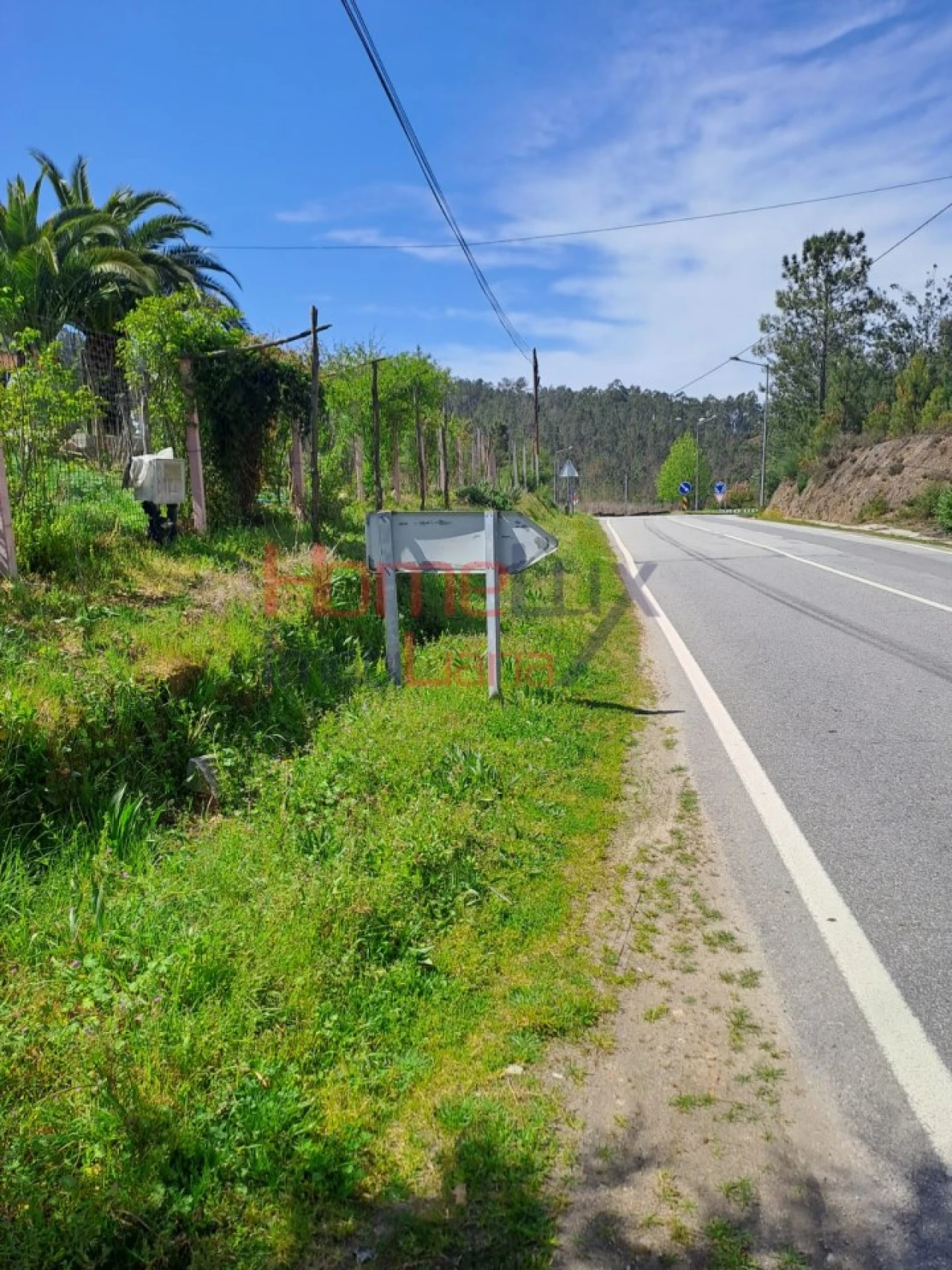 Terreno Agricola ou Rústico para Venda em São Pedro do Sul, Várzea e Baiões Foto 14