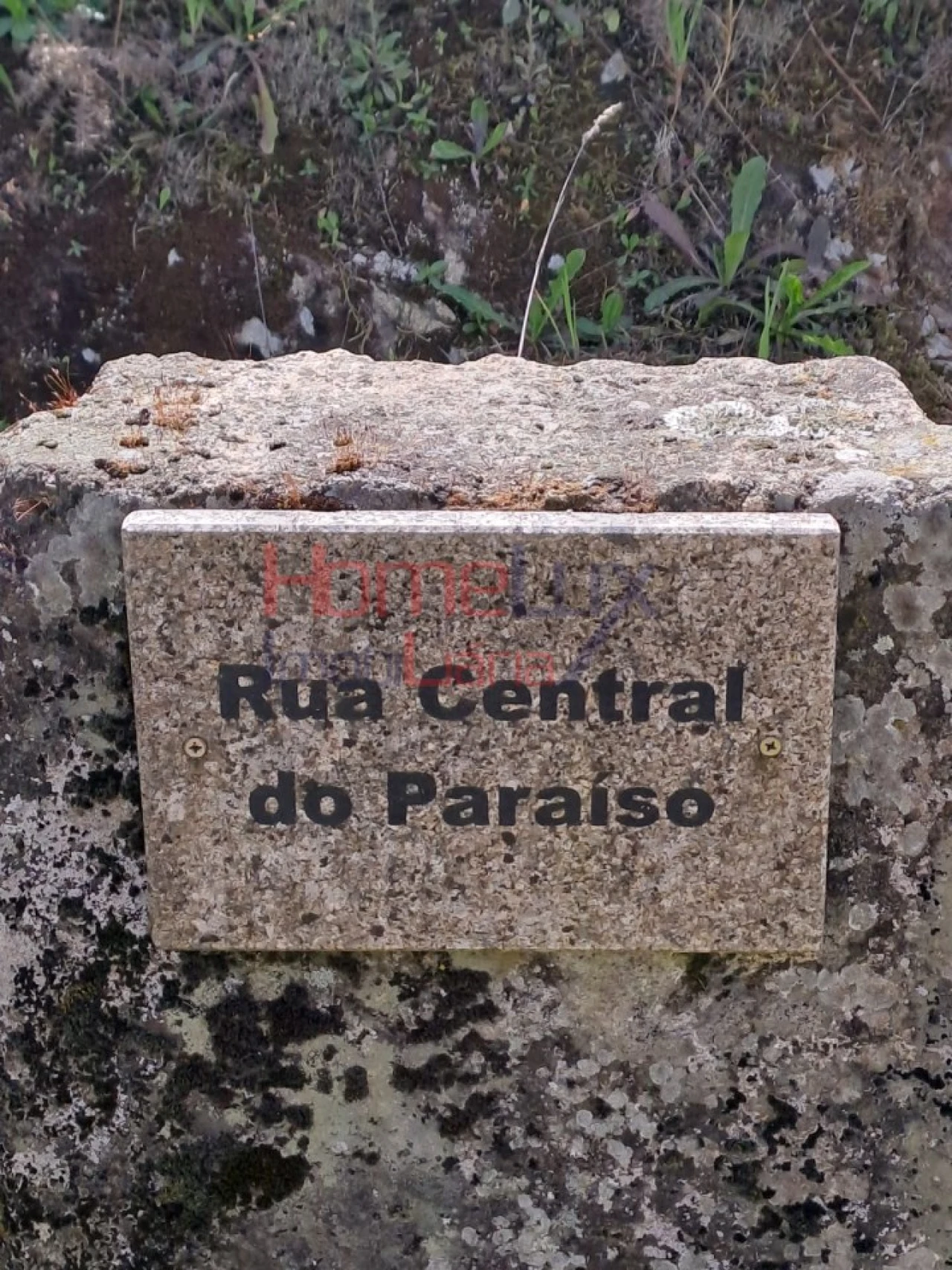 Terreno Agricola ou Rústico para Venda em São Pedro do Sul, Várzea e Baiões Foto 1