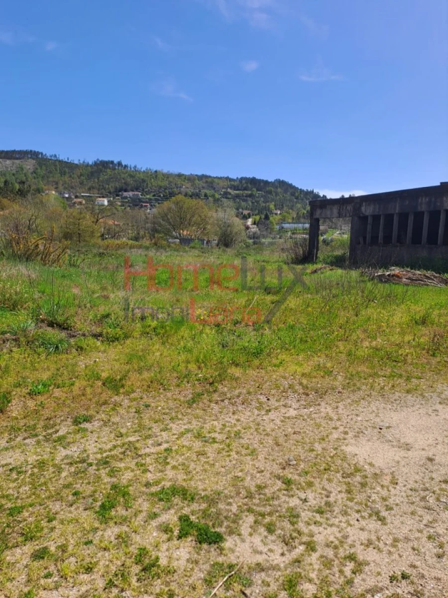 Terreno Agricola ou Rústico para Venda em São Pedro do Sul, Várzea e Baiões Foto 6