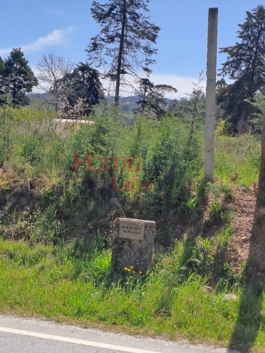 Terreno Agricola ou Rústico para Venda em São Pedro do Sul, Várzea e Baiões Foto 16