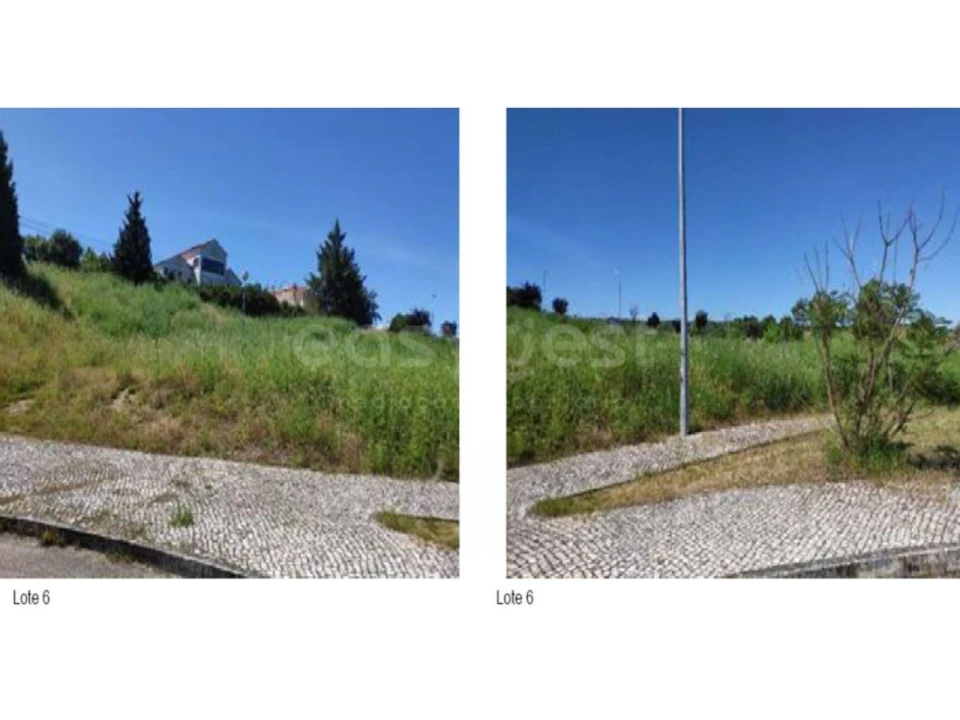 Terreno para Venda em Alcanena e Vila Moreira Foto 1