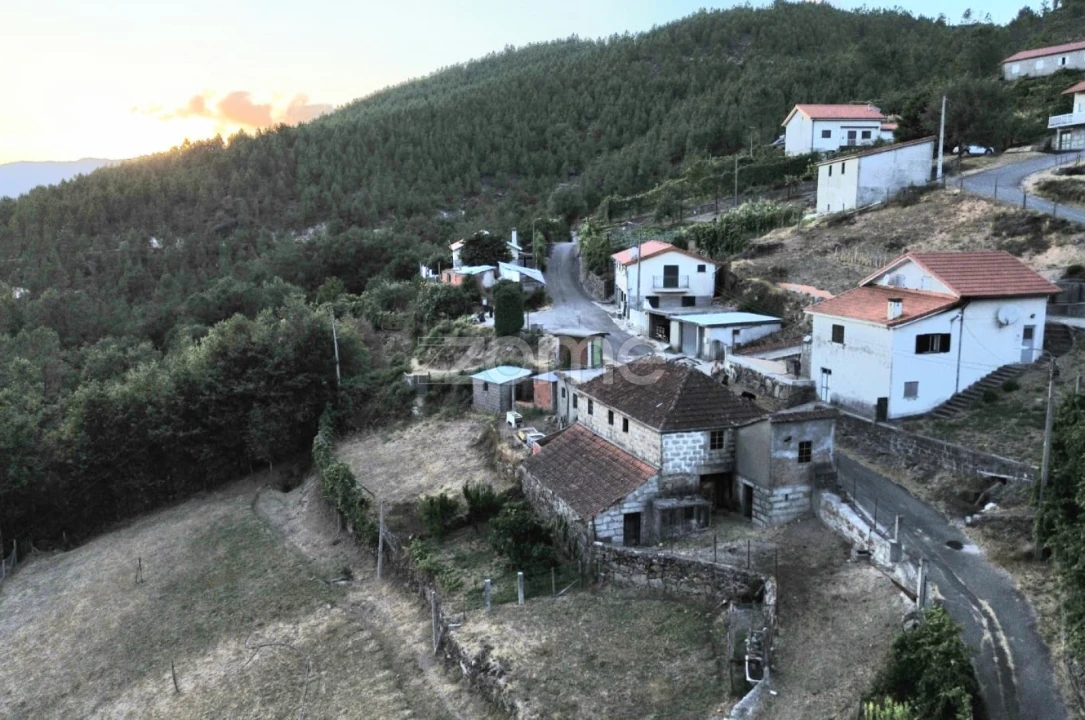 Terreno para Venda em Covelo do Geres Foto 14