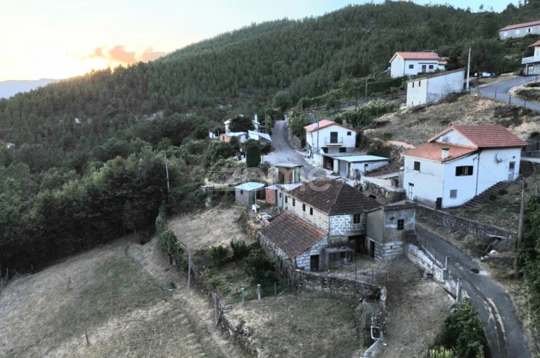 Terreno para Venda em Covelo do Geres Foto 14