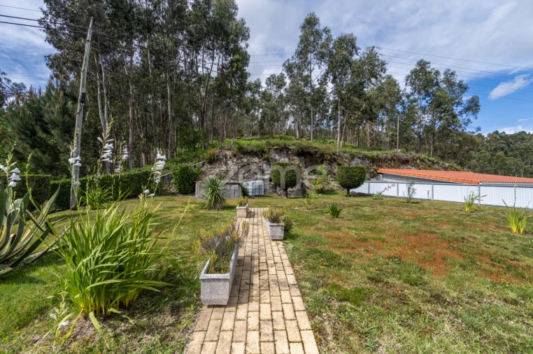 Moradia T3 para Venda em Travassos Foto 28