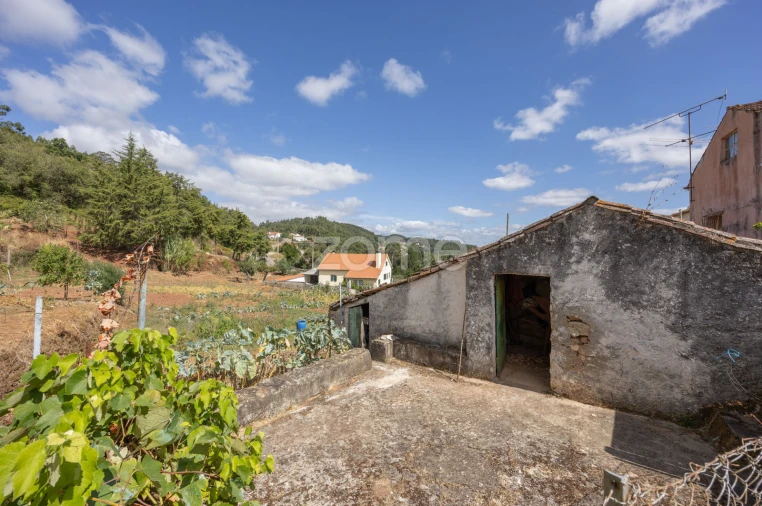 Moradia T2 para Venda em Alvaiázere Foto 41