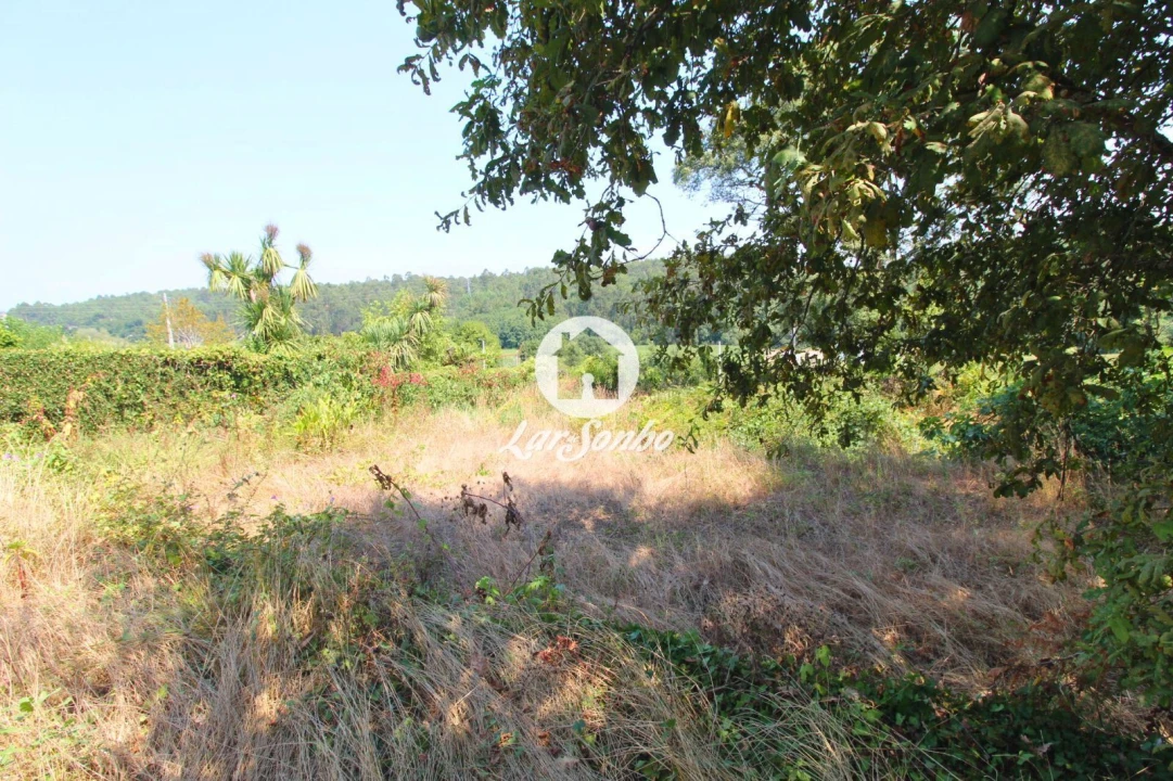 Terreno para Venda em Galegos (São Martinho) Foto 1