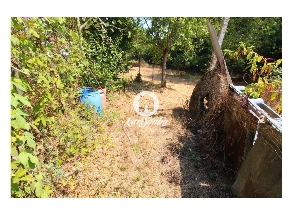 Terreno para Venda em Galegos (São Martinho) Foto 8