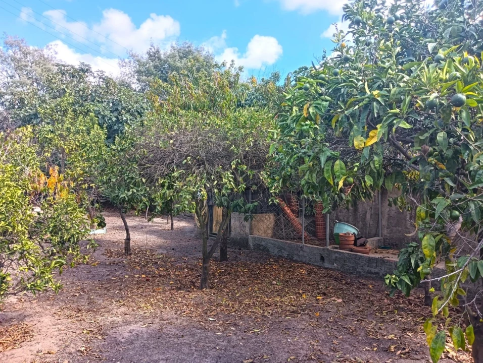 Moradia T4 para Venda em Beduído e Veiros Foto 28