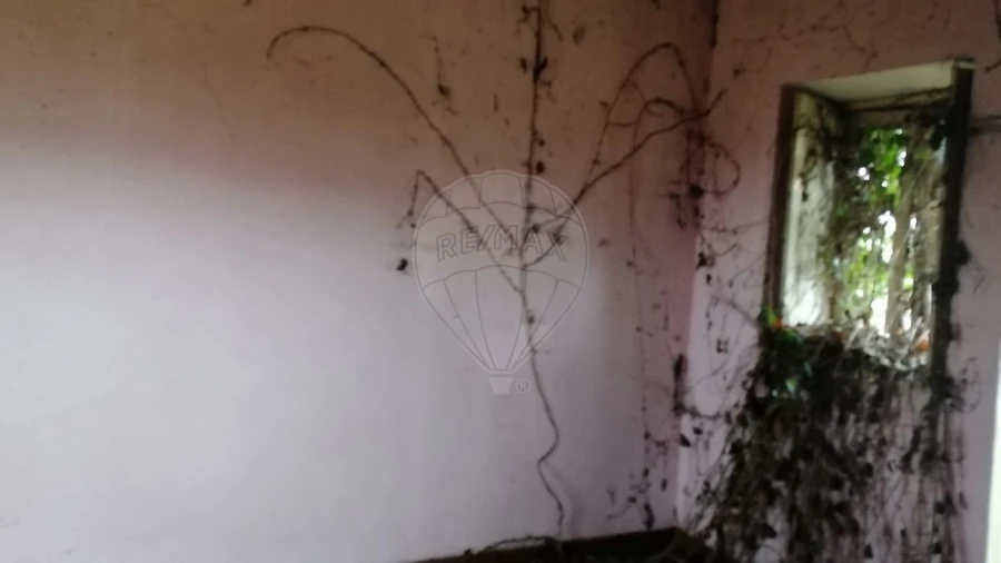 Moradia T2 para Venda em O. Azeméis, Riba-Ul, Ul, Macinhata Seixa, Madail Foto 11