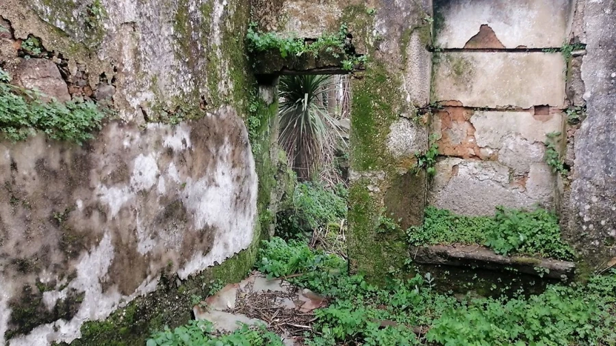 Moradia T2 para Venda em O. Azeméis, Riba-Ul, Ul, Macinhata Seixa, Madail Foto 9