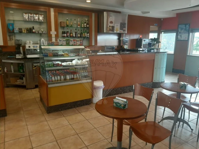 Negócio para Venda em Oliveira do Bairro Foto 7