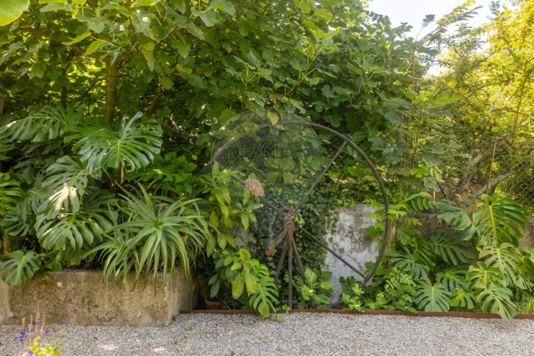 Moradia T4 para Arrendamento em Cedofeita, Santo Ildefonso, Sé, Miragaia, São Nicolau e Vitória Foto 29