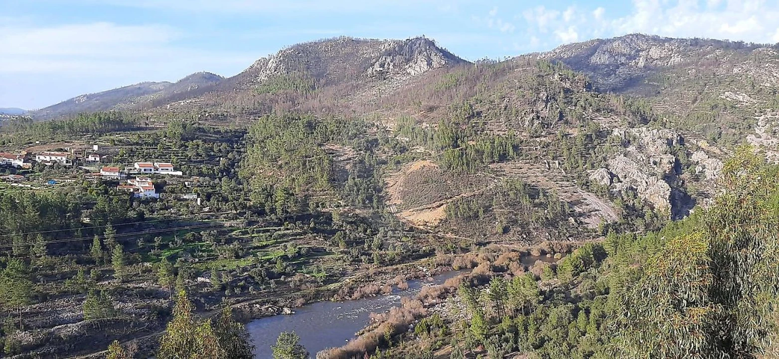 Moradia T2 para Venda em Sobreira Formosa e Alvito da Beira Foto 22