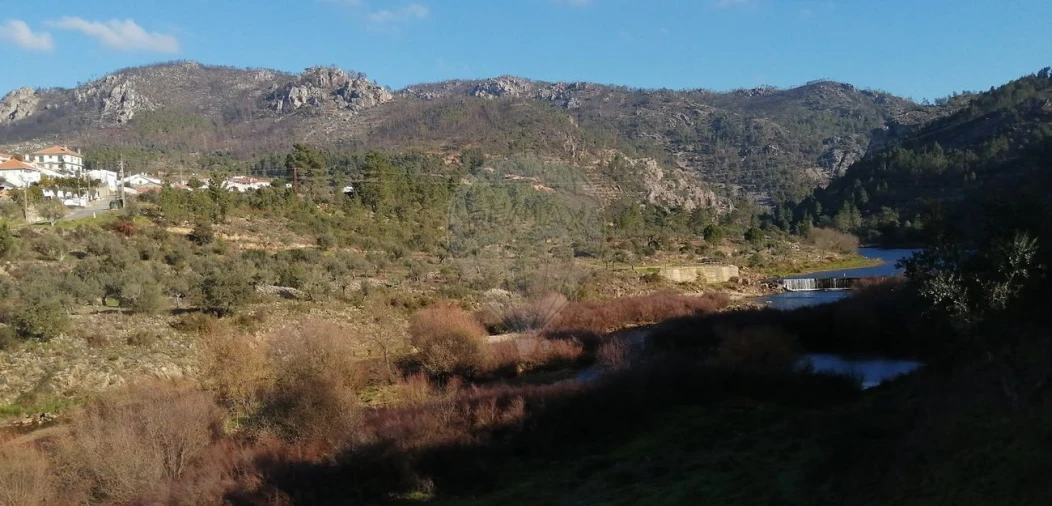 Moradia T2 para Venda em Sobreira Formosa e Alvito da Beira Foto 4