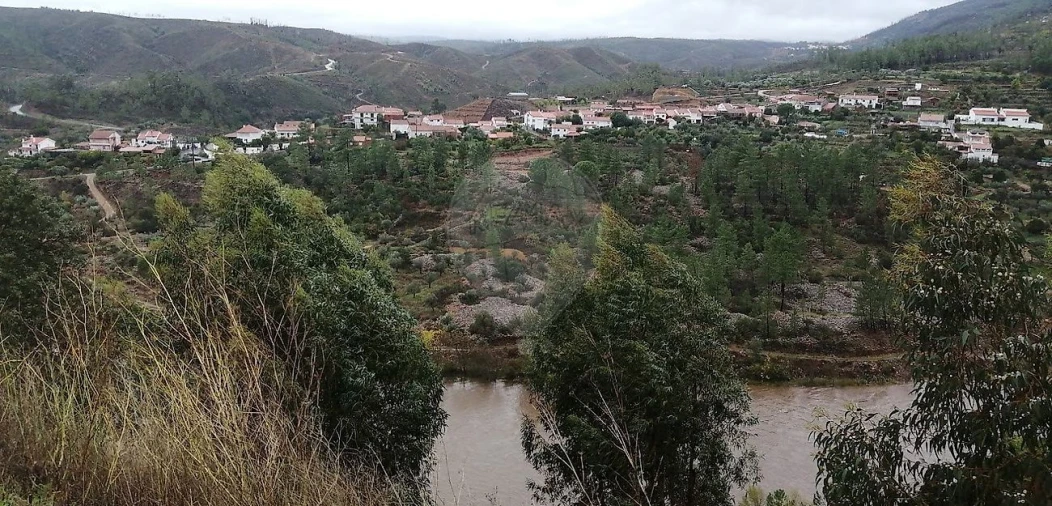 Moradia T2 para Venda em Sobreira Formosa e Alvito da Beira Foto 12