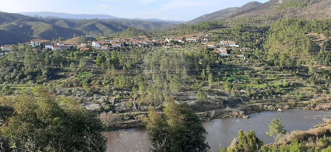 Moradia T2 para Venda em Sobreira Formosa e Alvito da Beira Foto 21