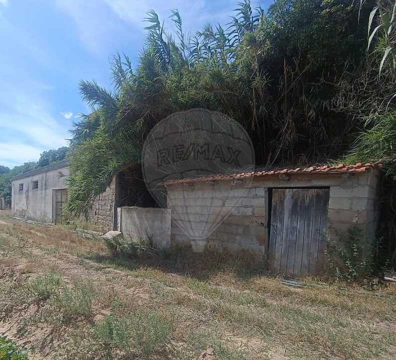 Armazém para Venda em Lourinhã e Atalaia Foto 4