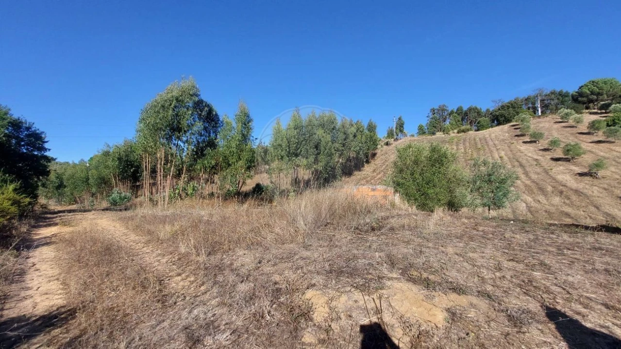 Terreno para Venda em São João da Ribeira e Ribeira de São João Foto 12
