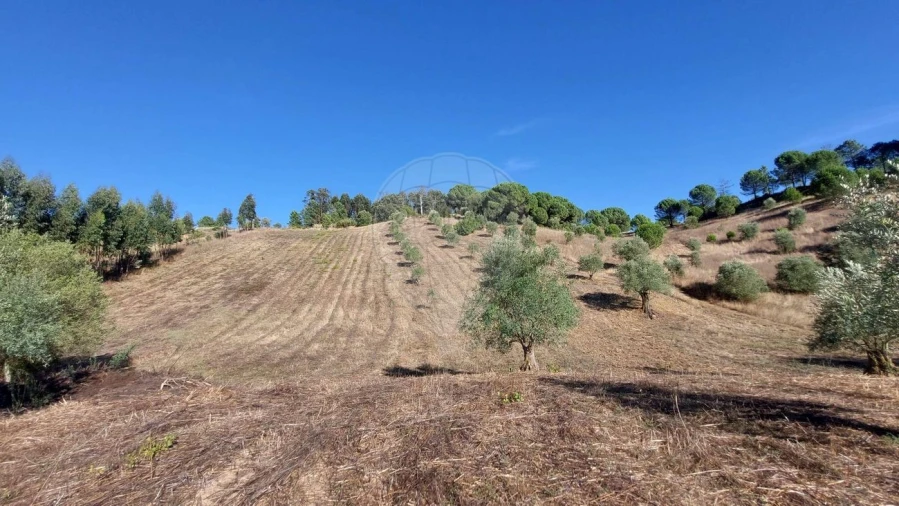 Terreno para Venda em São João da Ribeira e Ribeira de São João Foto 1