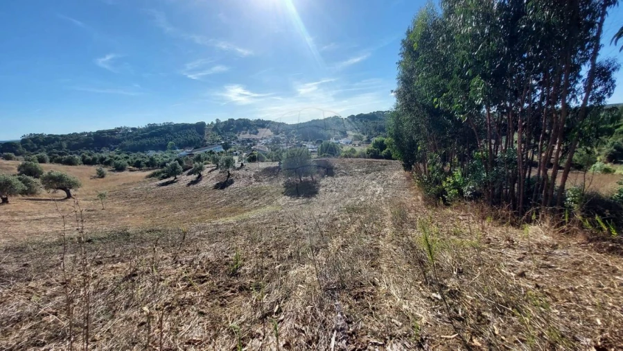 Terreno para Venda em São João da Ribeira e Ribeira de São João Foto 11