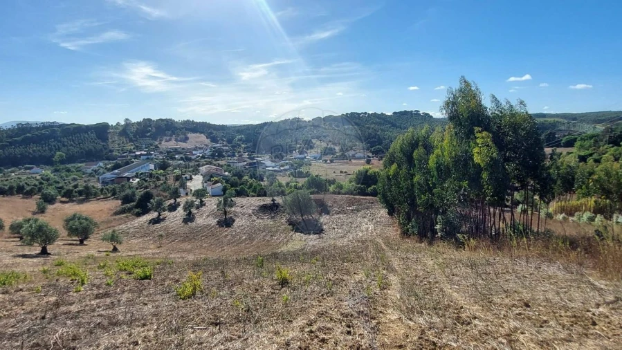 Terreno para Venda em São João da Ribeira e Ribeira de São João Foto 7