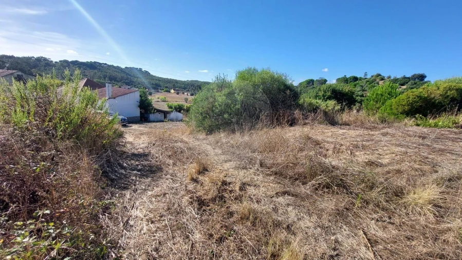 Terreno para Venda em São João da Ribeira e Ribeira de São João Foto 4