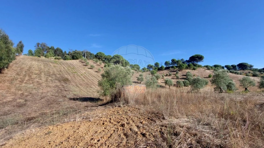 Terreno para Venda em São João da Ribeira e Ribeira de São João Foto 3