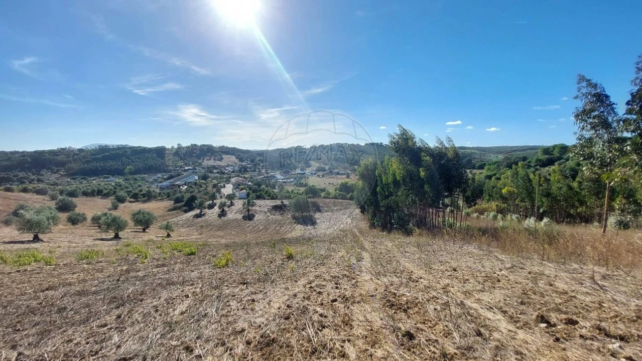 Terreno para Venda em São João da Ribeira e Ribeira de São João Foto 5