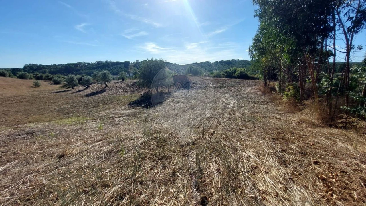 Terreno para Venda em São João da Ribeira e Ribeira de São João Foto 13