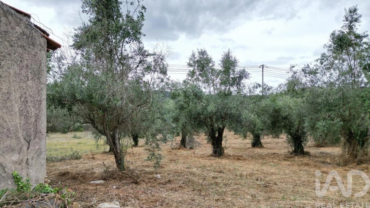 Terreno para Venda em São Miguel, Santa Eufémia e Rabaçal Foto 22