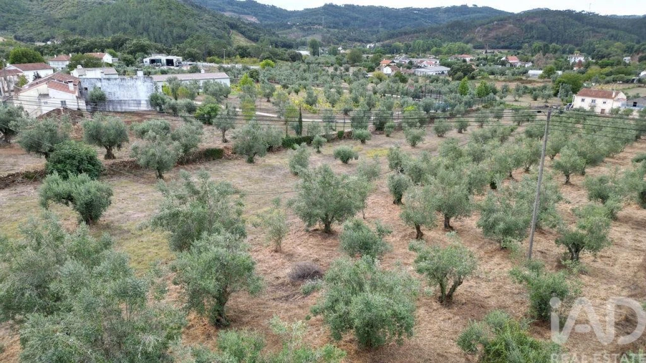 Terreno para Venda em São Miguel, Santa Eufémia e Rabaçal Foto 15