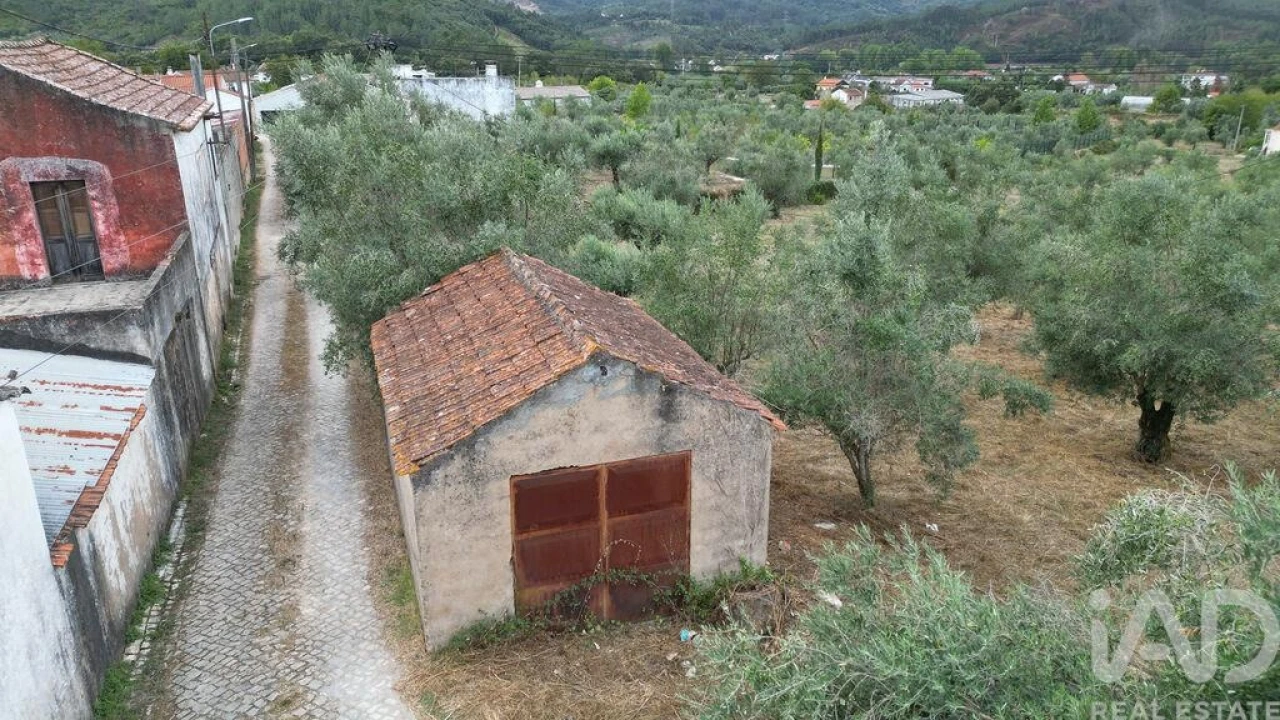 Terreno para Venda em São Miguel, Santa Eufémia e Rabaçal Foto 19