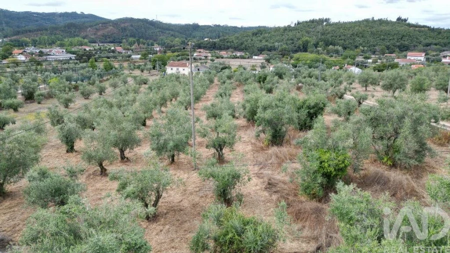 Terreno para Venda em São Miguel, Santa Eufémia e Rabaçal Foto 16