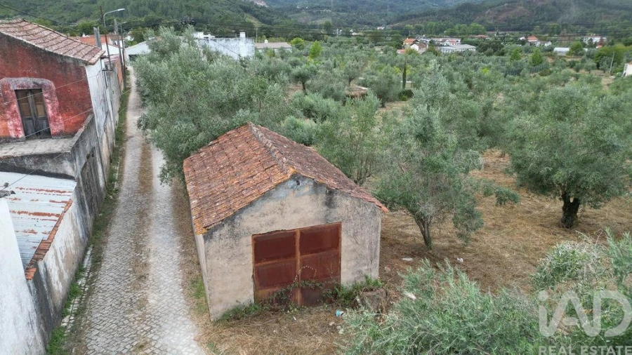 Terreno para Venda em São Miguel, Santa Eufémia e Rabaçal Foto 19
