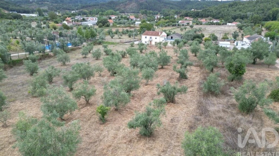 Terreno para Venda em São Miguel, Santa Eufémia e Rabaçal Foto 18