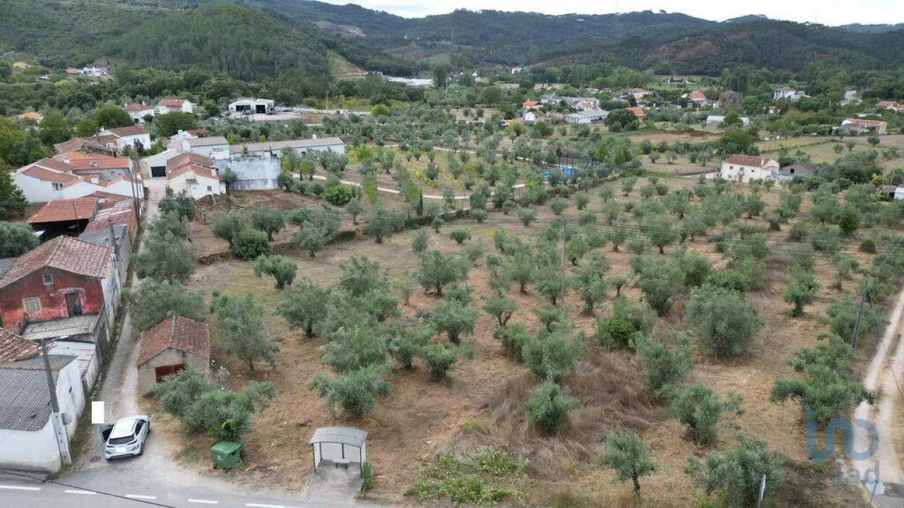 Terreno para Venda em São Miguel, Santa Eufémia e Rabaçal Foto 14