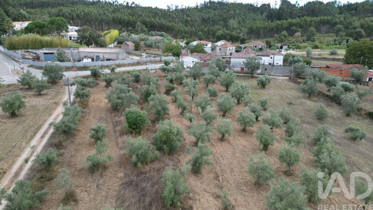 Terreno para Venda em São Miguel, Santa Eufémia e Rabaçal Foto 17