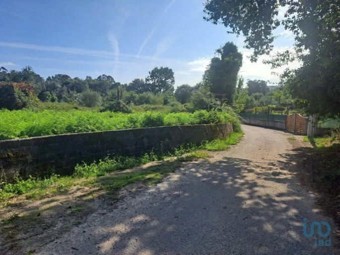 Terreno para Venda em Freiriz Foto 3