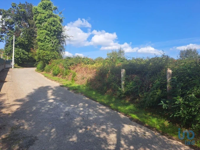 Terreno para Venda em Freiriz Foto 6