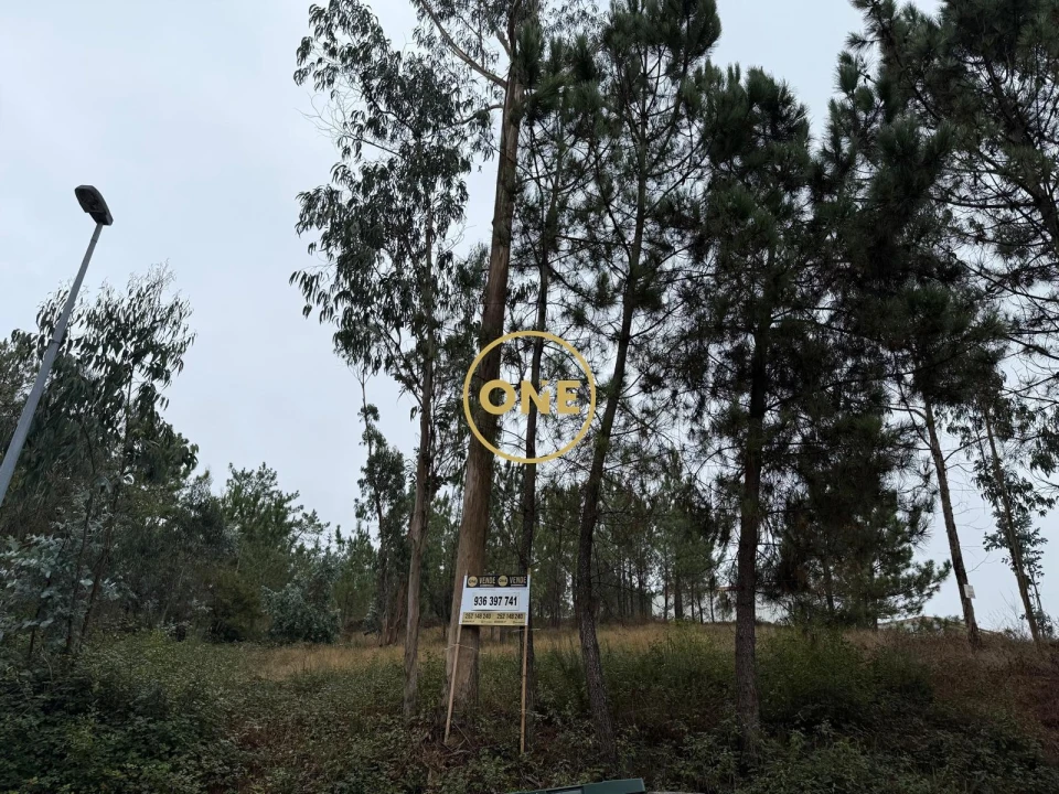 Terreno para Venda em Rates Foto 21