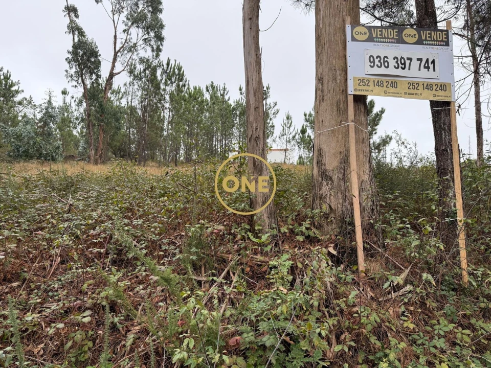 Terreno para Venda em Rates Foto 12